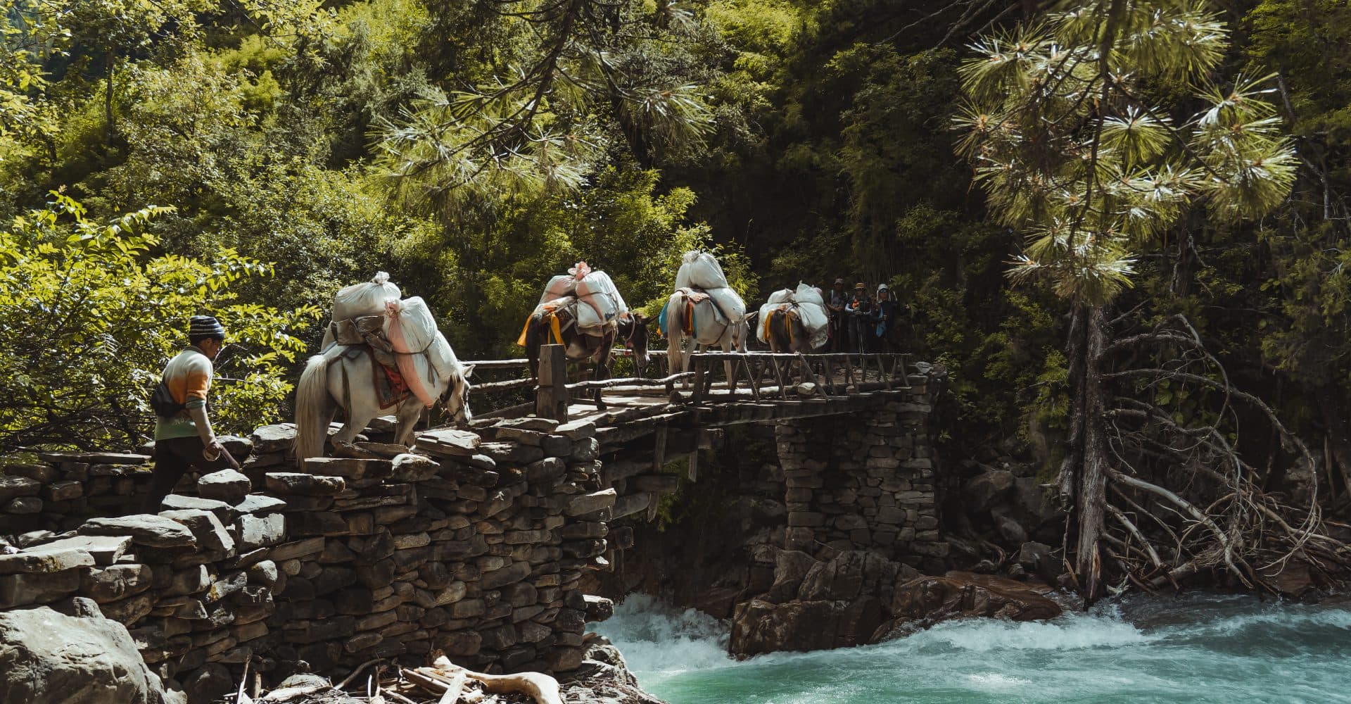 Lower Dolpo via Jumla Trek